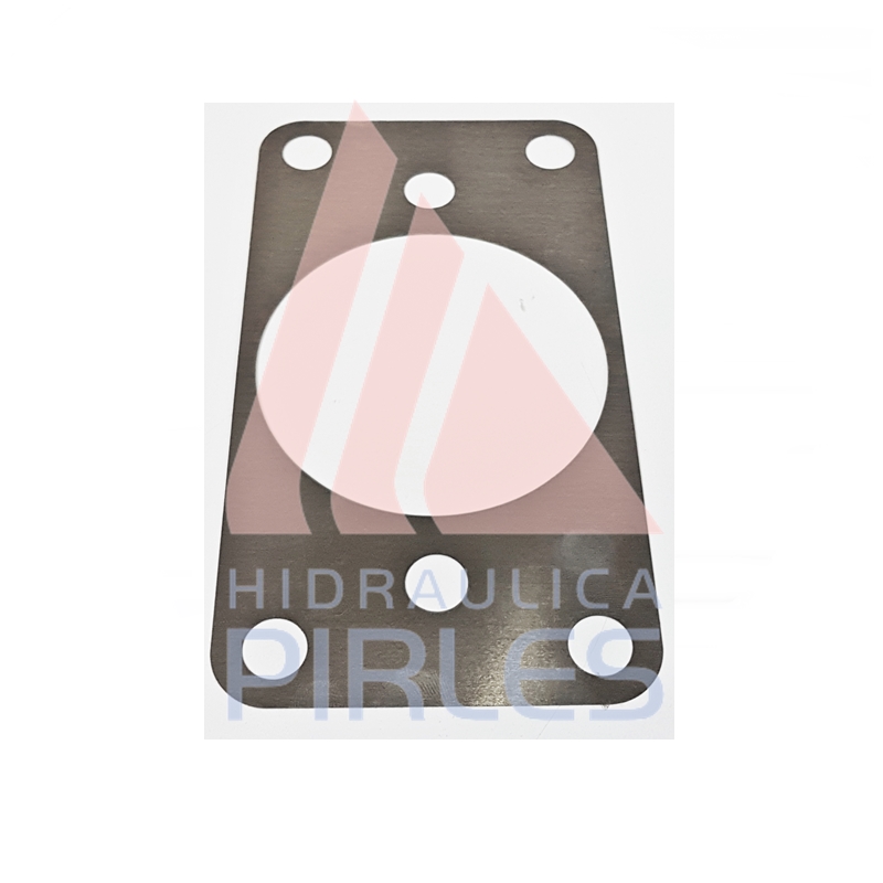 [8J-6302] JUNTA SUPLEMENTO