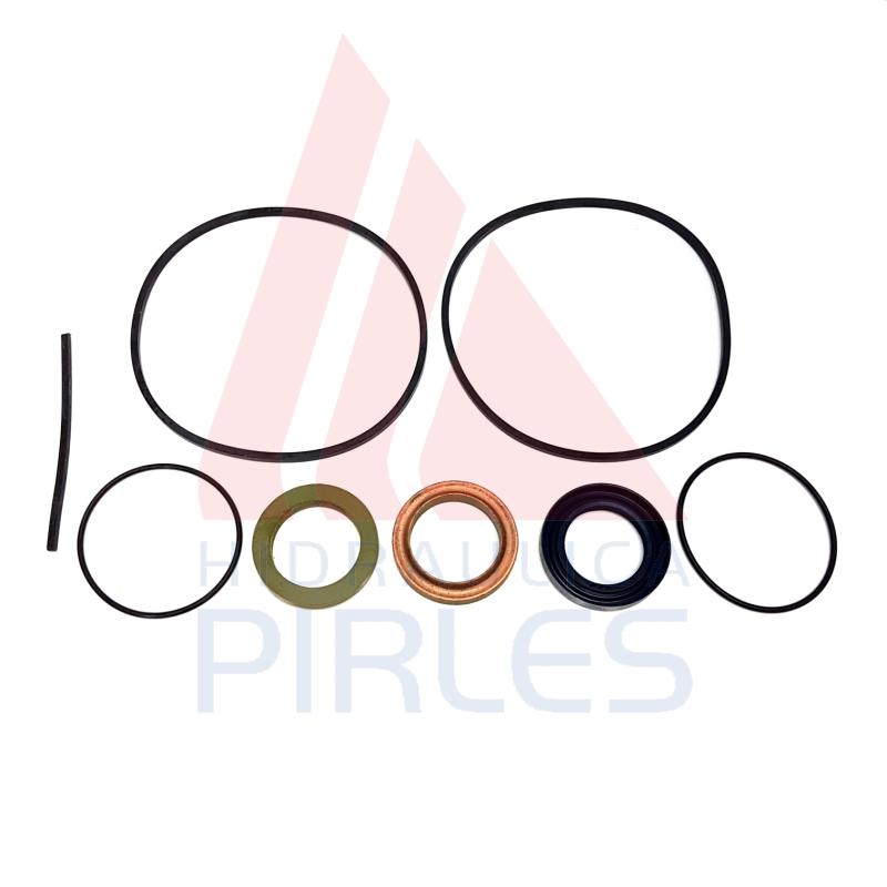 [391-1802-104] KIT DE SELLOS BOMBA