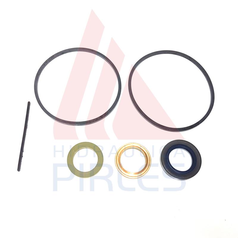 [391-1802-317] KIT DE SELLOS BOMBA