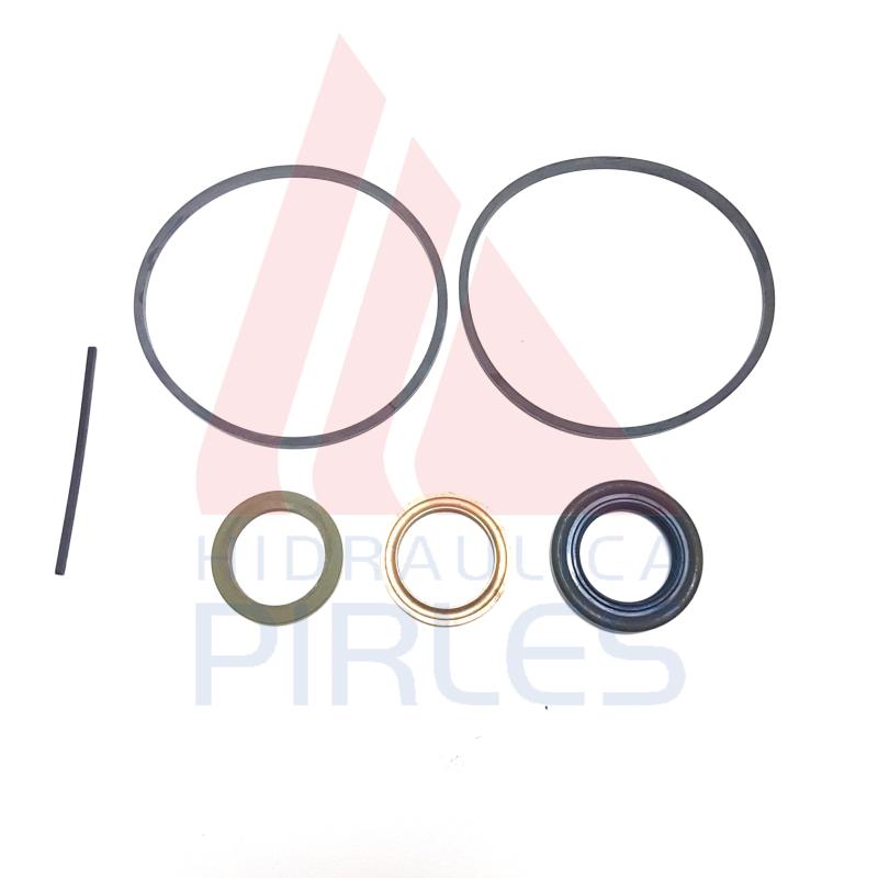 [391-1802-174] KIT DE SELLOS BOMBA