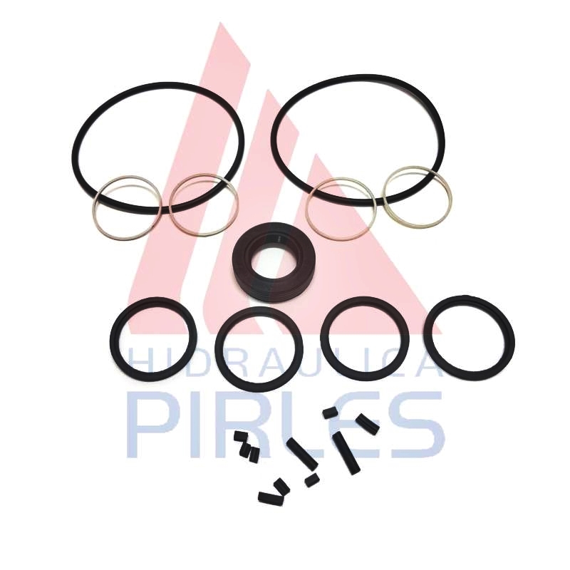 [60624] KIT DE SELLOS BOMBA P/BUJE PARTIDOS (RR-CF)