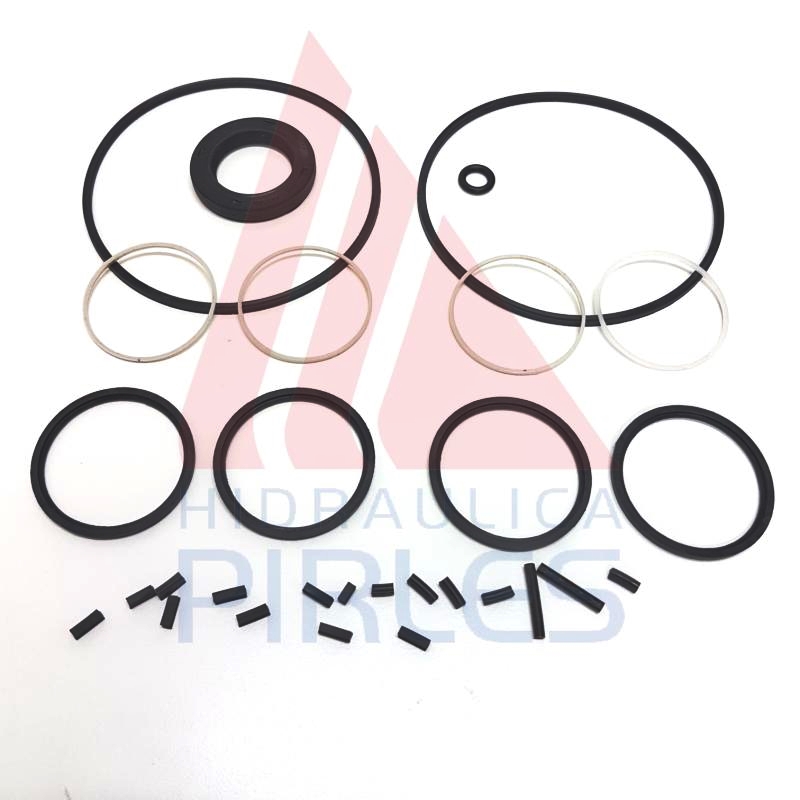 [60107] KIT DE SELLOS BOMBA VERSIÓN VIEJA