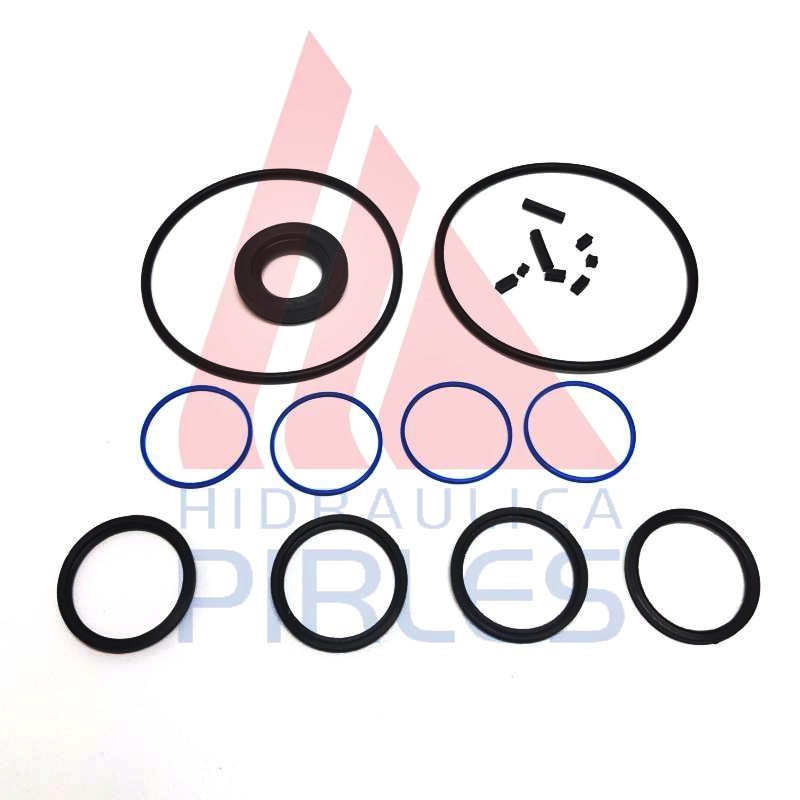 [60625] KIT DE SELLOS MOTOR P/BUJES PARTIDOS (RR-CF)