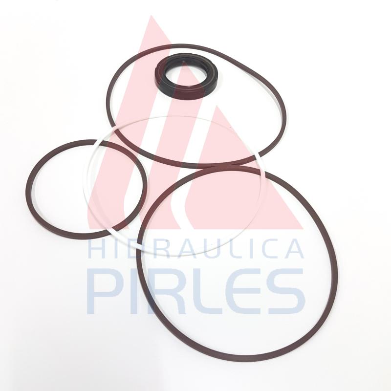 [S24.10186.5] KITS DE SELLOS [VITON] [CON RETÉN]