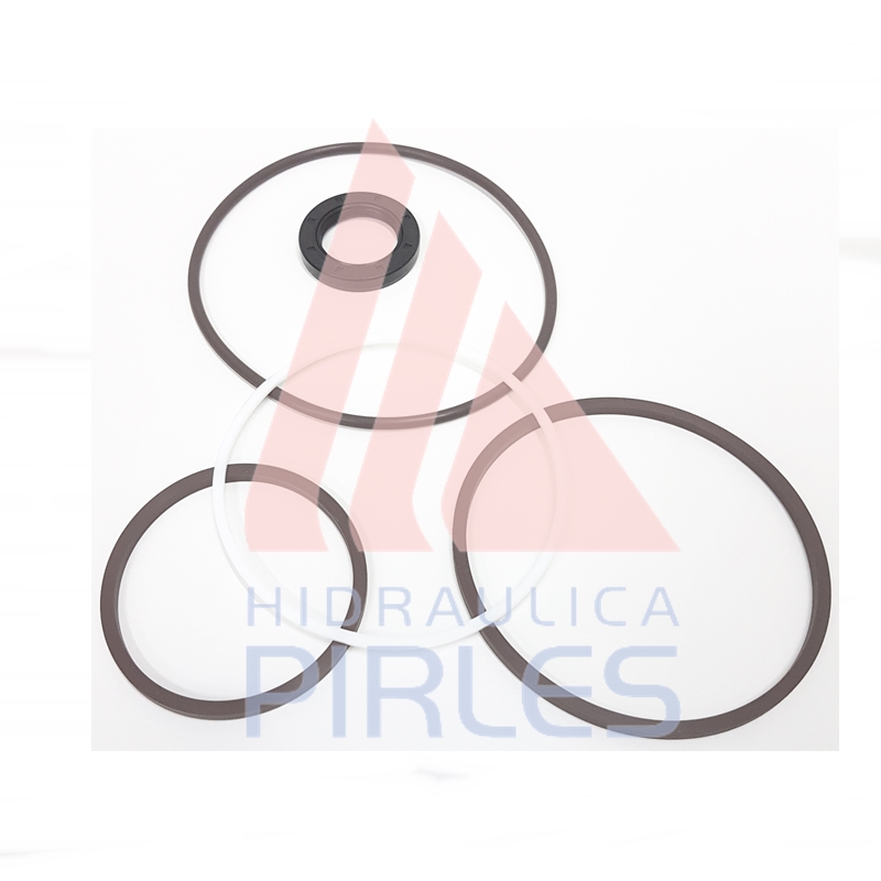 [S24.10133.5] KITS DE SELLOS [VITON] [CON RETÉN]