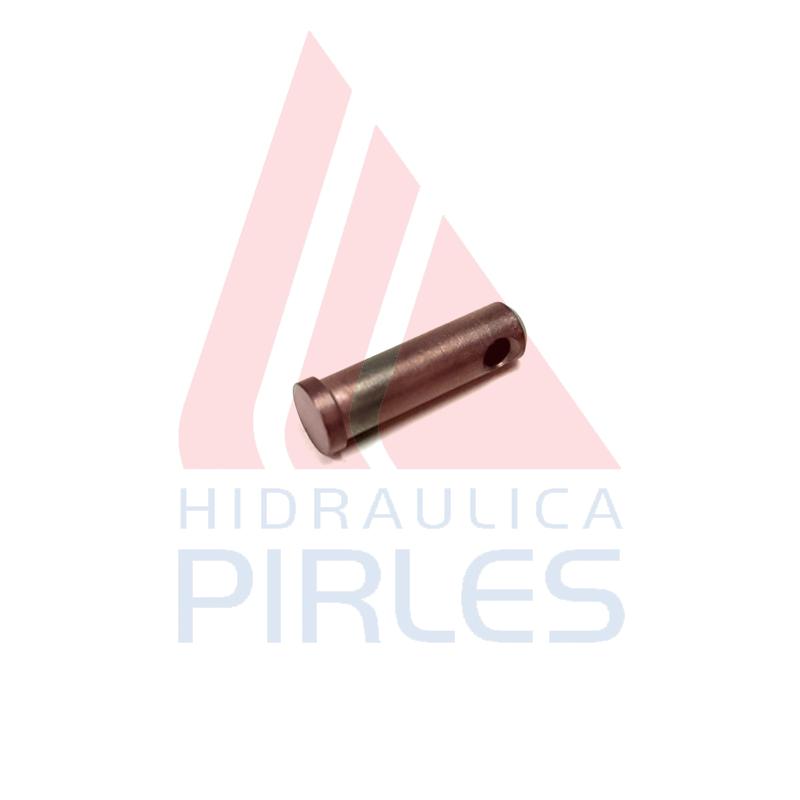 [R909076231] PERNO GUÍA