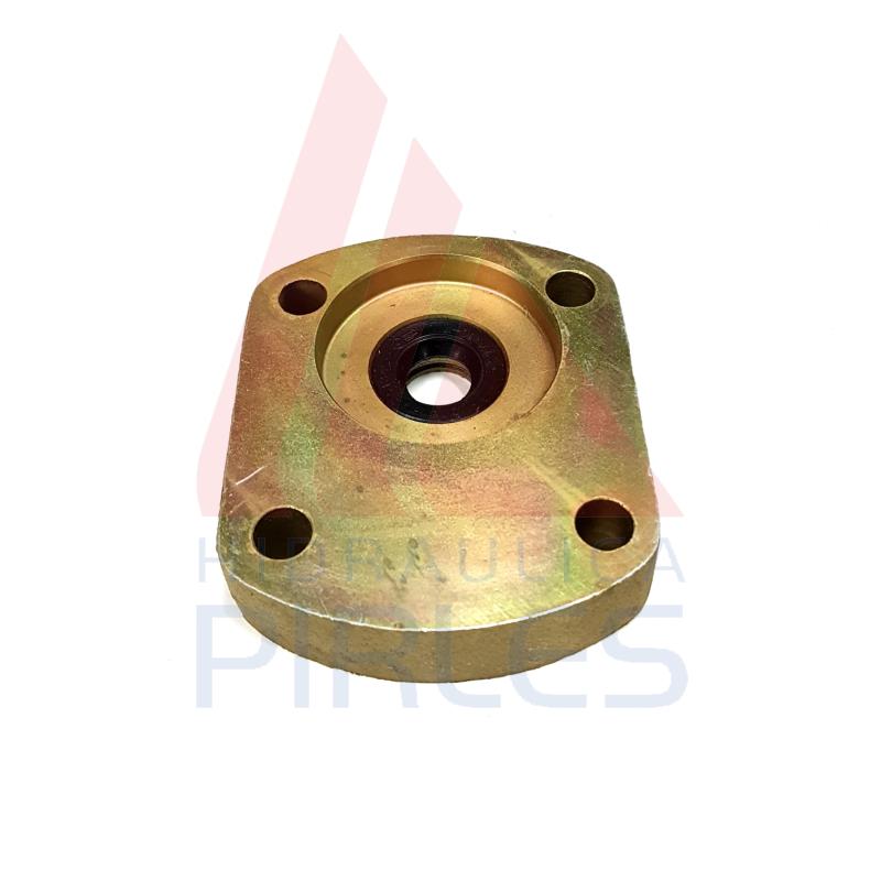 PLACA INTERMEDIA HEMBRA