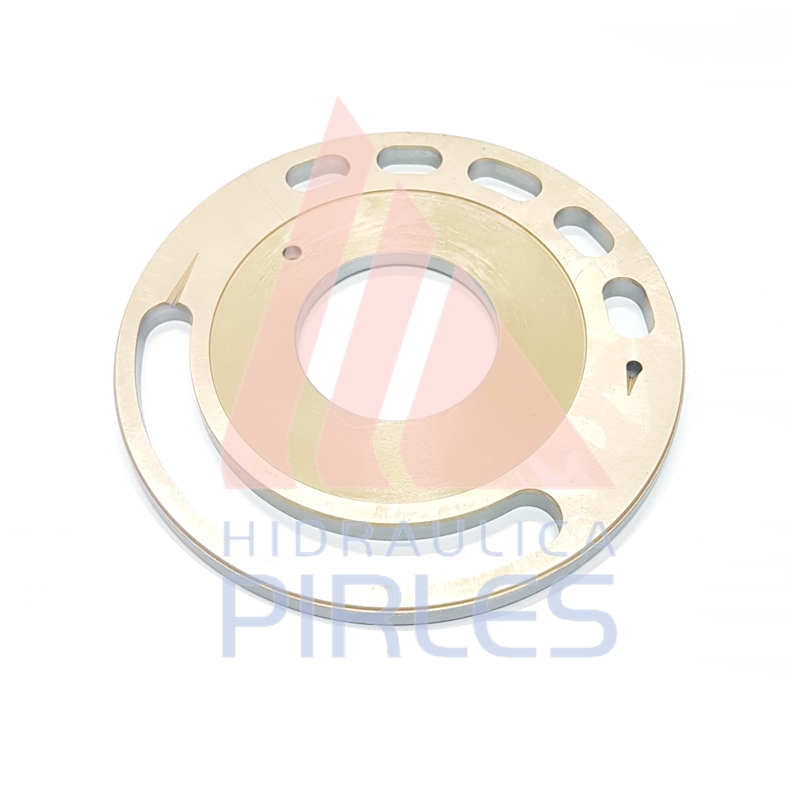 [876-4501-SZ] PLACA VÁLVULA LH