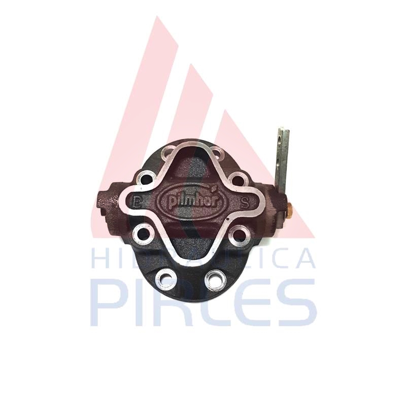 [60237] SUBCONJUNTO TAPA POSTERIOR VOLCADOR