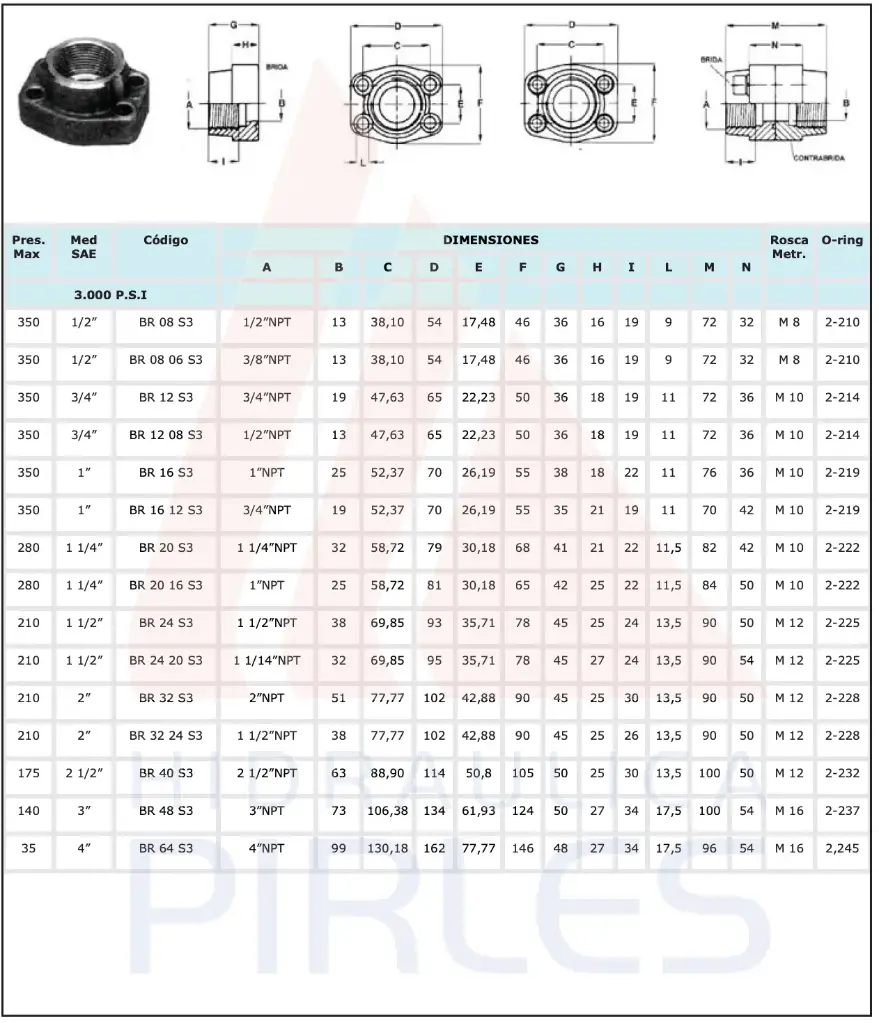  Accesorio - Brida Simple Doble Rosca NPT
